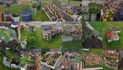 Falkirk Garden collage