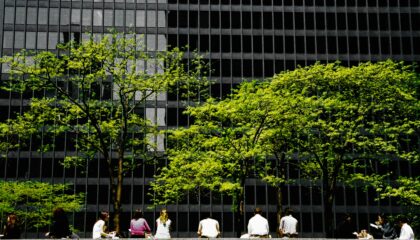 trees and office building