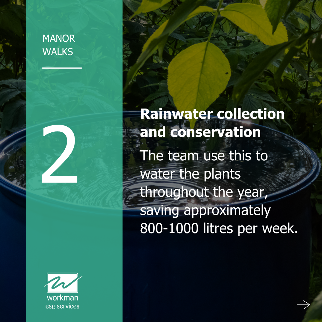 Rainwater collection and conservation