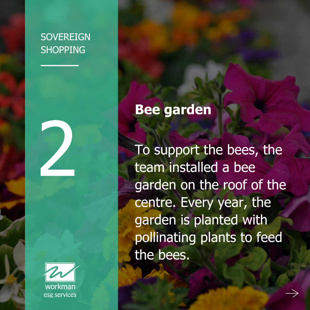 Sovereign Shopping - Bee garden