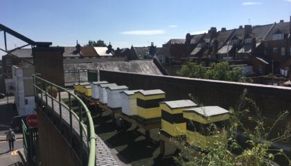 Sovereign Bees green strategy