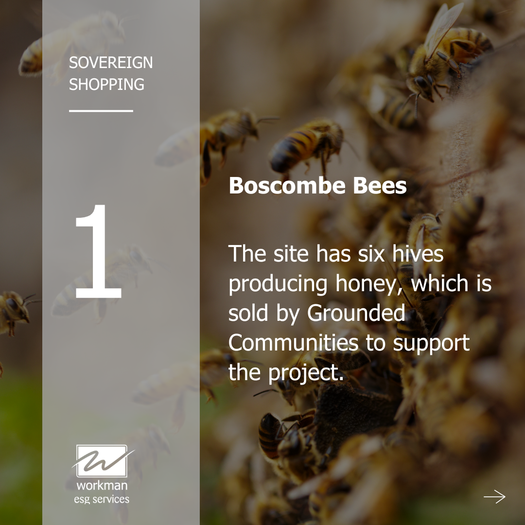 Sovereign Shopping - Boscombe Bees