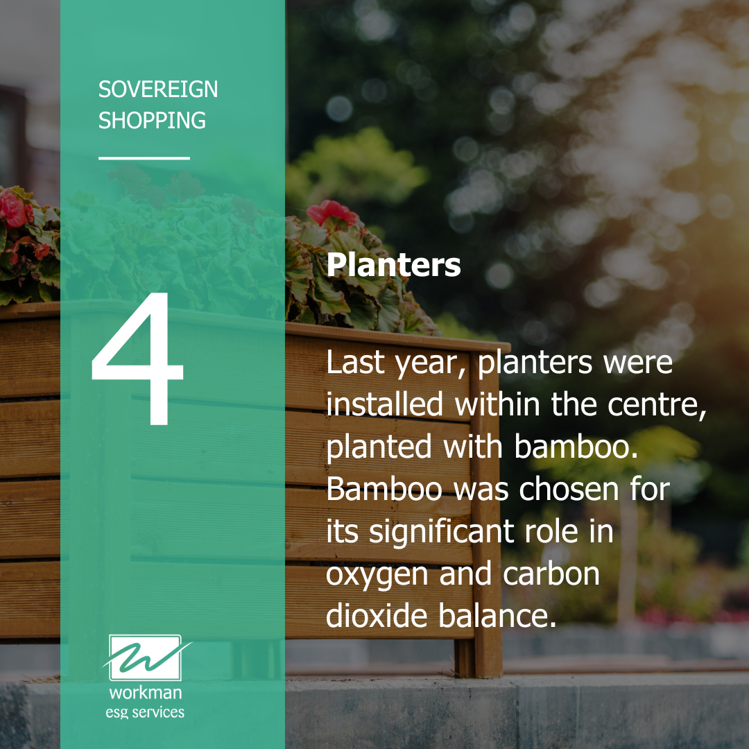 Sovereign Shopping - Planters