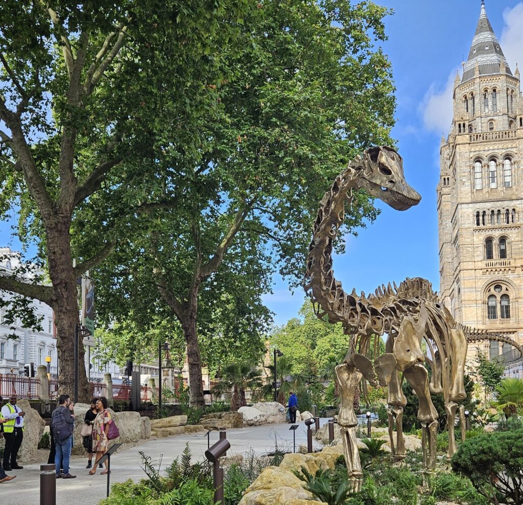 garden opening at Natural History Museum