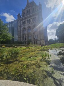 gardens unveiled - Natural History Museum